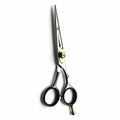 Professional 6.5 inch barber salon scissors with a sharp razor edge.