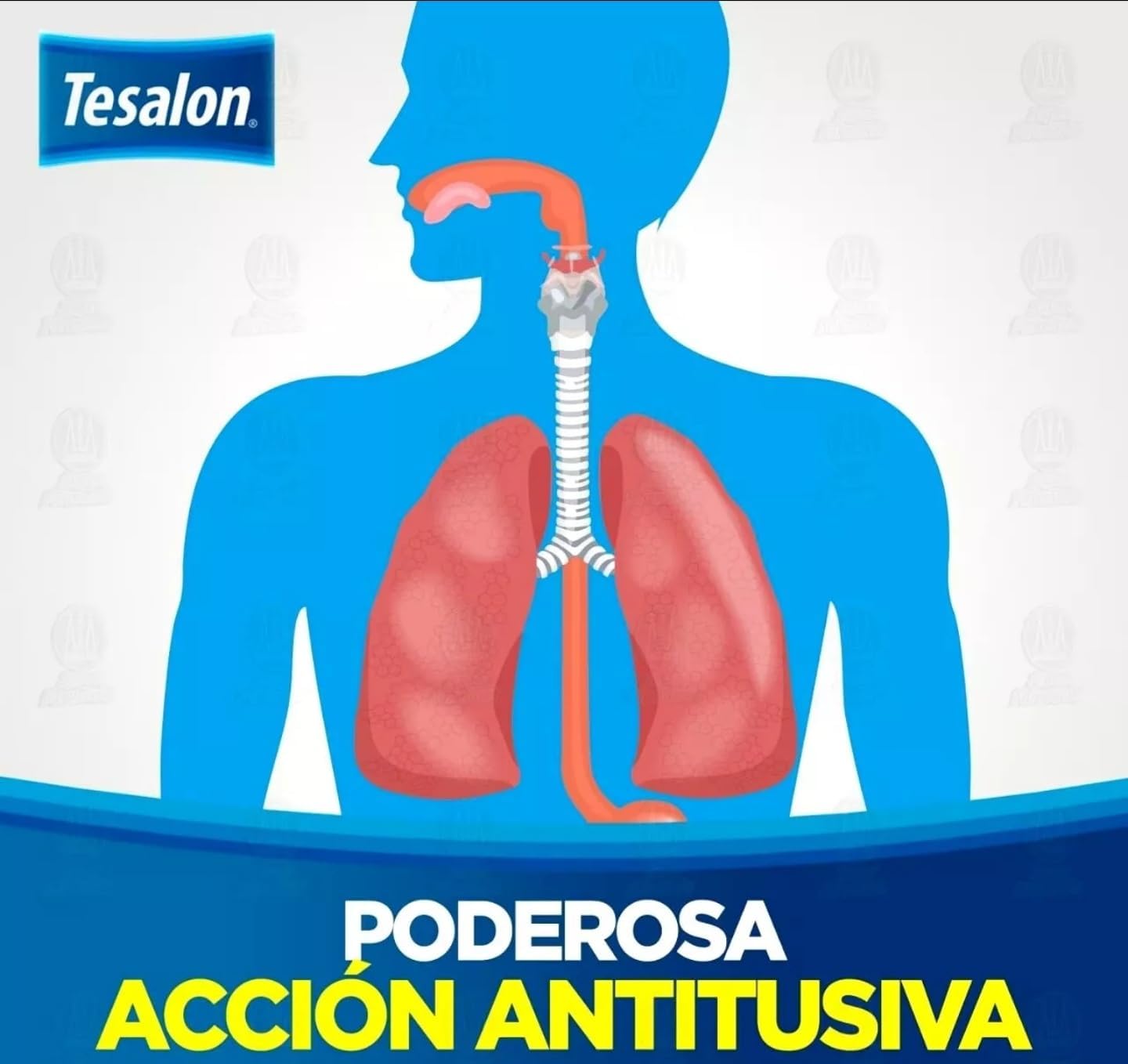 [Premium Quality Health Supplements, Personal Care Items, and Grooming Accessories Online]-BBNY&Co