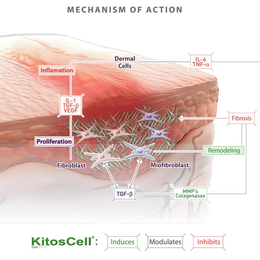 Advanced skin regeneration gel for healing surgical and injury scars.